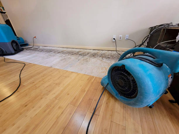 Professional Flood Damage Cleanup technician working in Riverside, ID